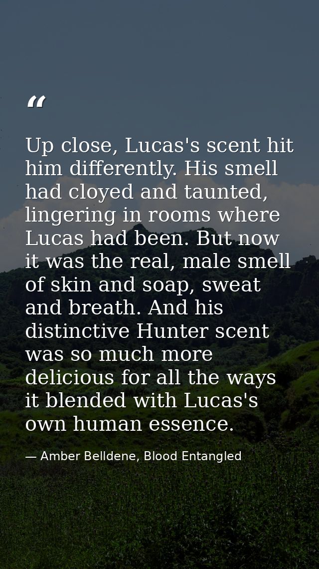 Up close, Lucas's scent hit him differently. His smell had cloyed and taunted, lingering in rooms where Lucas had been.  — Amber Belldene, Blood Entangled