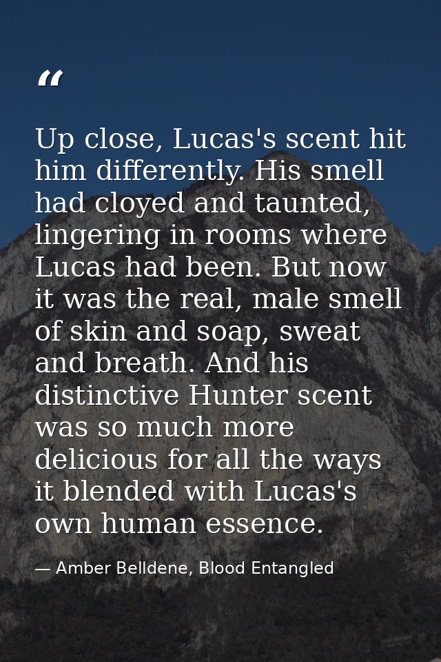 Up close, Lucas's scent hit him differently. His smell had cloyed and taunted, lingering in rooms where Lucas had been.  — Amber Belldene, Blood Entangled