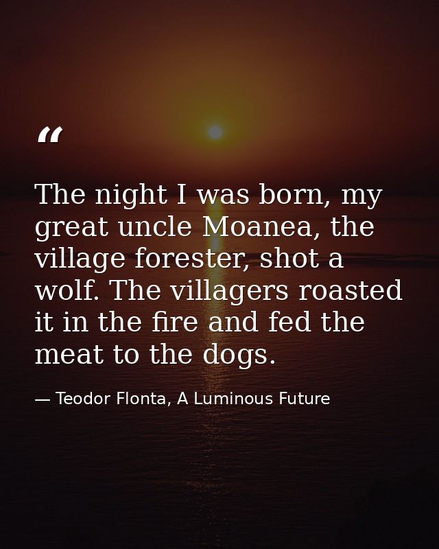 The night I was born, my great uncle Moanea, the village forester, shot a wolf. The villagers roasted it in the fire and — Teodor Flonta, A Luminous Future