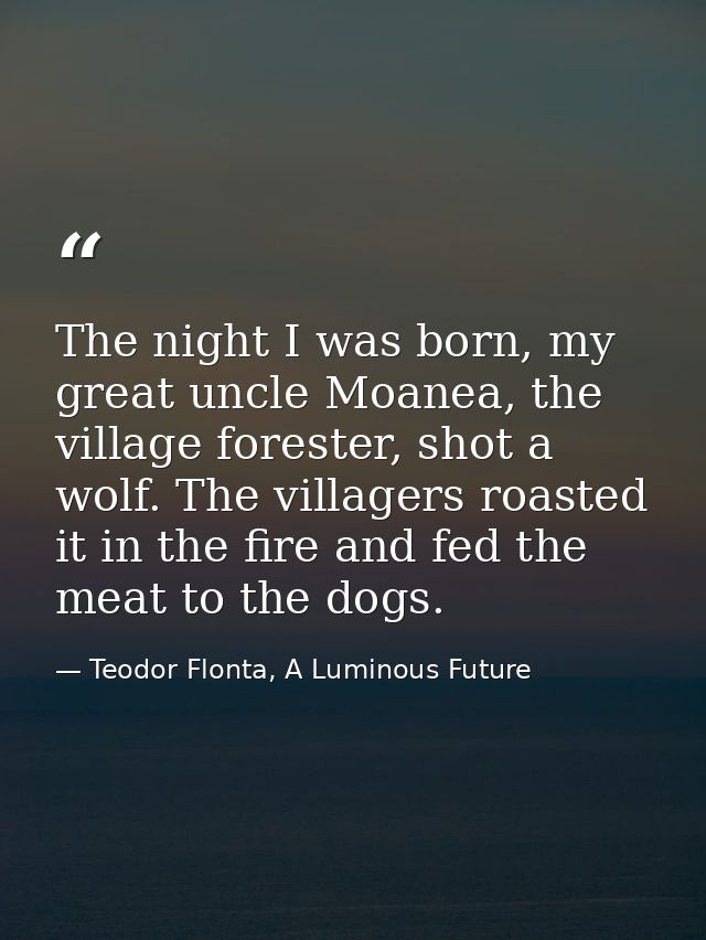 The night I was born, my great uncle Moanea, the village forester, shot a wolf. The villagers roasted it in the fire and — Teodor Flonta, A Luminous Future