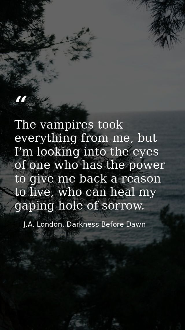 The vampires took everything from me, but I'm looking into the eyes of one who has the power to give me back a reason to — J.A. London, Darkness Before Dawn