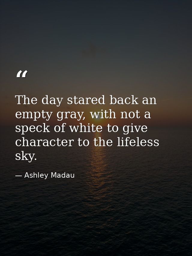 The day stared back an empty gray, with not a speck of white to give character to the lifeless sky. — Ashley Madau