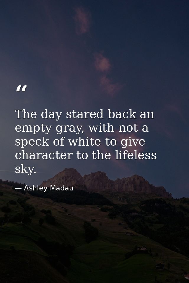 The day stared back an empty gray, with not a speck of white to give character to the lifeless sky. — Ashley Madau