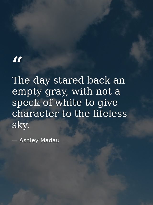 The day stared back an empty gray, with not a speck of white to give character to the lifeless sky. — Ashley Madau