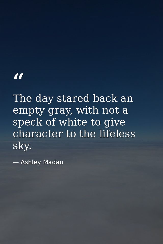 The day stared back an empty gray, with not a speck of white to give character to the lifeless sky. — Ashley Madau