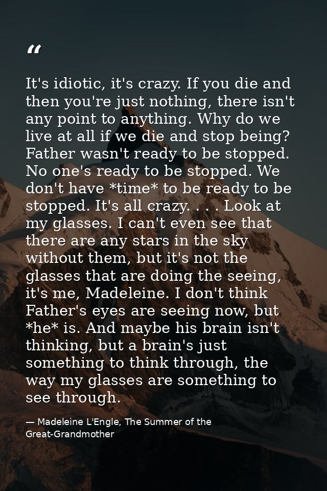 It's idiotic, it's crazy. If you die and then you're just nothing, there isn't any point to anything. Why do we live at  — Madeleine L'Engle, The Summer of the Great-Grandmother
