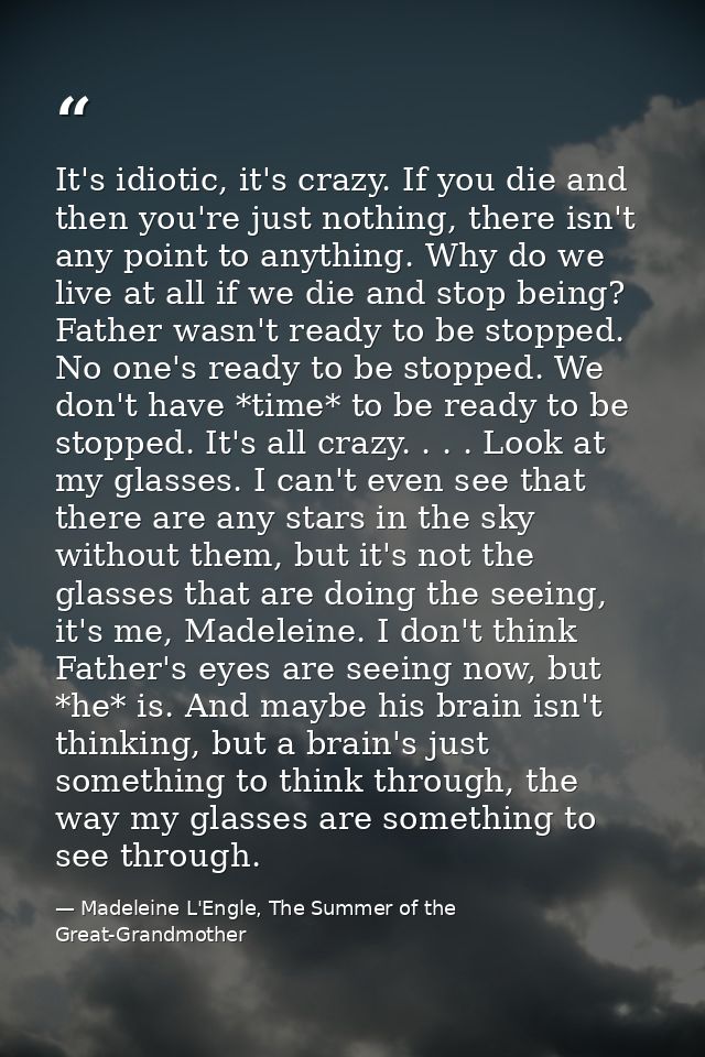 It's idiotic, it's crazy. If you die and then you're just nothing, there isn't any point to anything. Why do we live at  — Madeleine L'Engle, The Summer of the Great-Grandmother