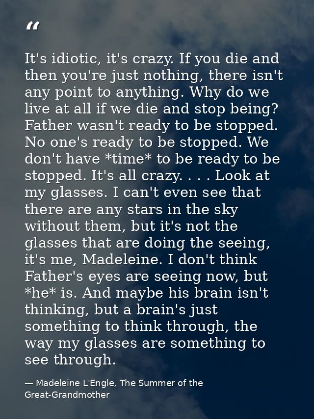 It's idiotic, it's crazy. If you die and then you're just nothing, there isn't any point to anything. Why do we live at  — Madeleine L'Engle, The Summer of the Great-Grandmother