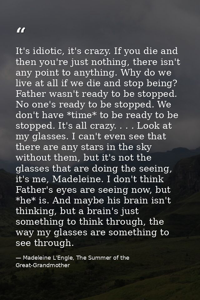 It's idiotic, it's crazy. If you die and then you're just nothing, there isn't any point to anything. Why do we live at  — Madeleine L'Engle, The Summer of the Great-Grandmother