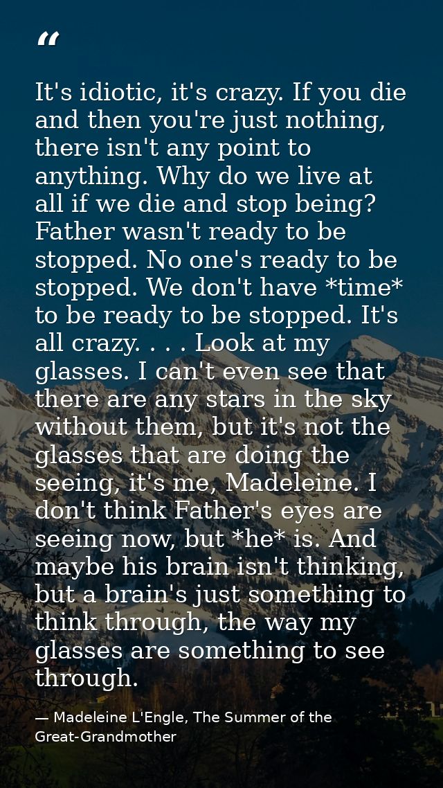 It's idiotic, it's crazy. If you die and then you're just nothing, there isn't any point to anything. Why do we live at  — Madeleine L'Engle, The Summer of the Great-Grandmother