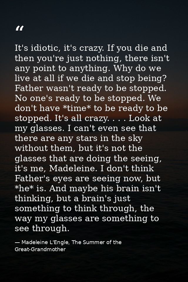 It's idiotic, it's crazy. If you die and then you're just nothing, there isn't any point to anything. Why do we live at  — Madeleine L'Engle, The Summer of the Great-Grandmother