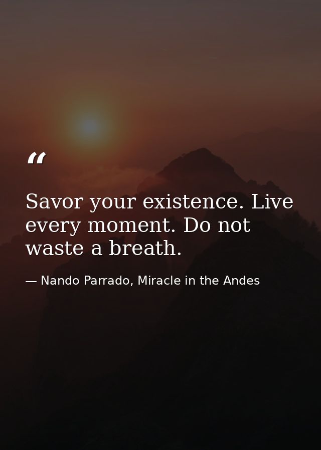 Savor your existence. Live every moment. Do not waste a breath. — Nando Parrado, Miracle in the Andes