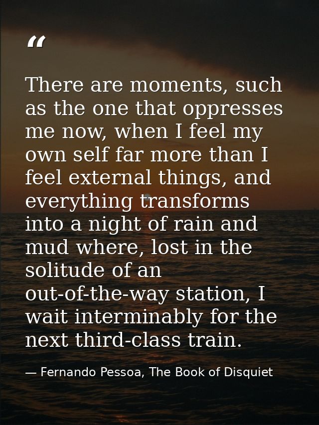 There are moments, such as the one that oppresses me now, when I feel my own self far more than I feel external things,  — Fernando Pessoa, The Book of Disquiet