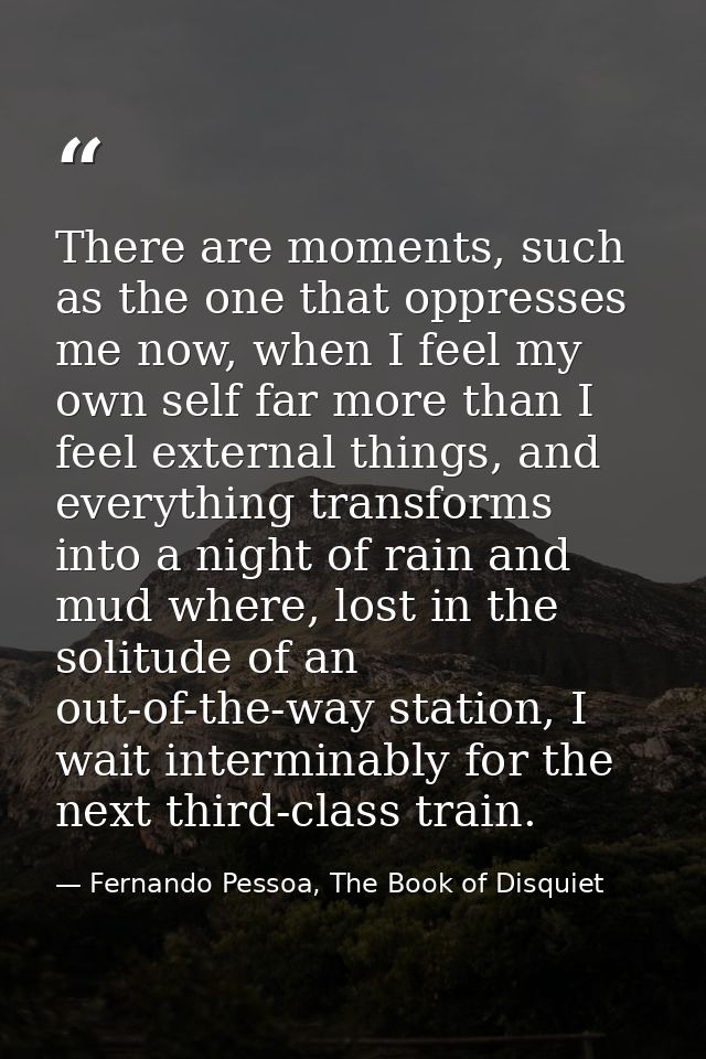 There are moments, such as the one that oppresses me now, when I feel my own self far more than I feel external things,  — Fernando Pessoa, The Book of Disquiet