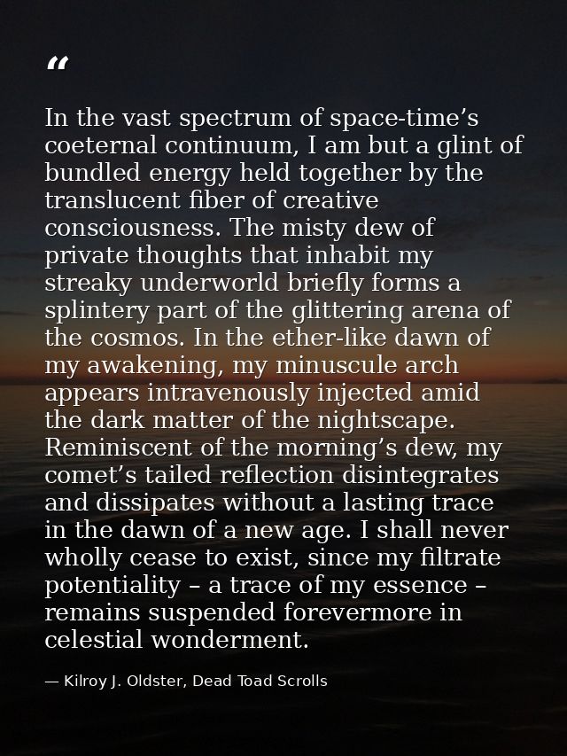 In the vast spectrum of space-time’s coeternal continuum, I am but a glint of bundled energy held together by the transl — Kilroy J. Oldster, Dead Toad Scrolls