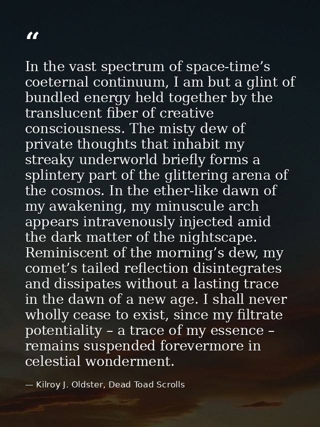 In the vast spectrum of space-time’s coeternal continuum, I am but a glint of bundled energy held together by the transl — Kilroy J. Oldster, Dead Toad Scrolls