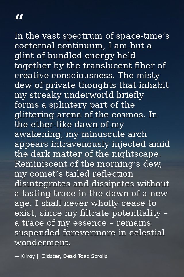 In the vast spectrum of space-time’s coeternal continuum, I am but a glint of bundled energy held together by the transl — Kilroy J. Oldster, Dead Toad Scrolls