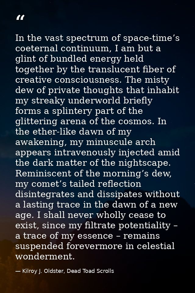 In the vast spectrum of space-time’s coeternal continuum, I am but a glint of bundled energy held together by the transl — Kilroy J. Oldster, Dead Toad Scrolls