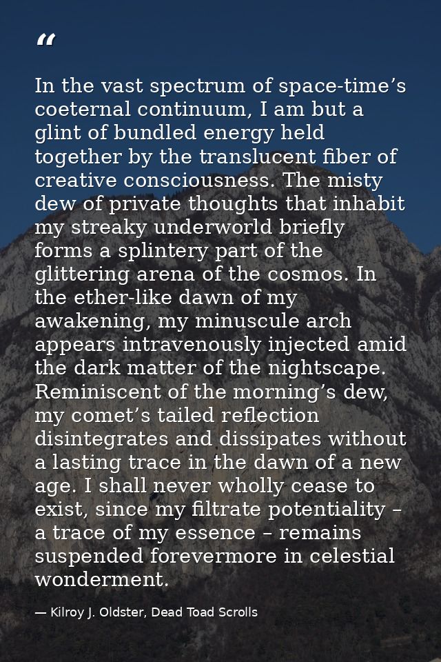 In the vast spectrum of space-time’s coeternal continuum, I am but a glint of bundled energy held together by the transl — Kilroy J. Oldster, Dead Toad Scrolls