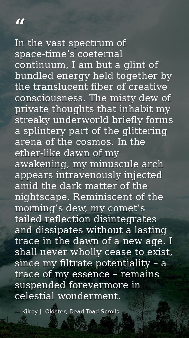 In the vast spectrum of space-time’s coeternal continuum, I am but a glint of bundled energy held together by the transl — Kilroy J. Oldster, Dead Toad Scrolls