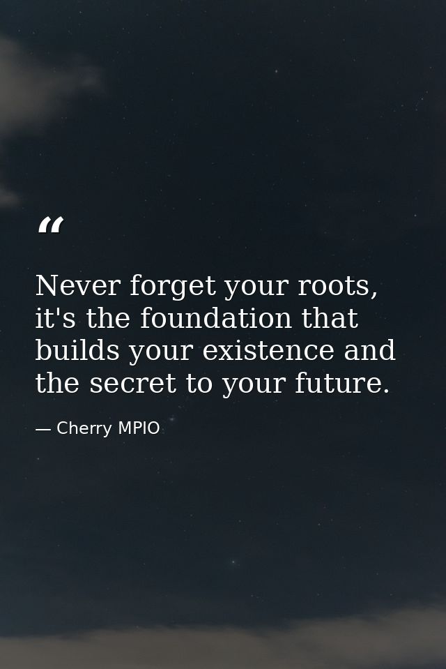 Never forget your roots, it's the foundation that builds your existence and the secret to your future. — Cherry MPIO