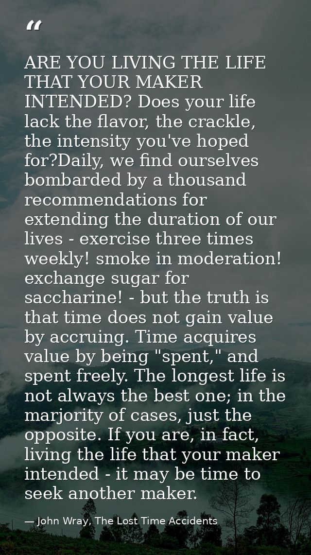 ARE YOU LIVING THE LIFE THAT YOUR MAKER INTENDED? Does your life lack the flavor, the crackle, the intensity you've hope — John Wray, The Lost Time Accidents