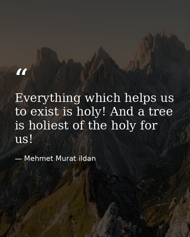 Everything which helps us to exist is holy! And a tree is holiest of the holy for us! — Mehmet Murat ildan