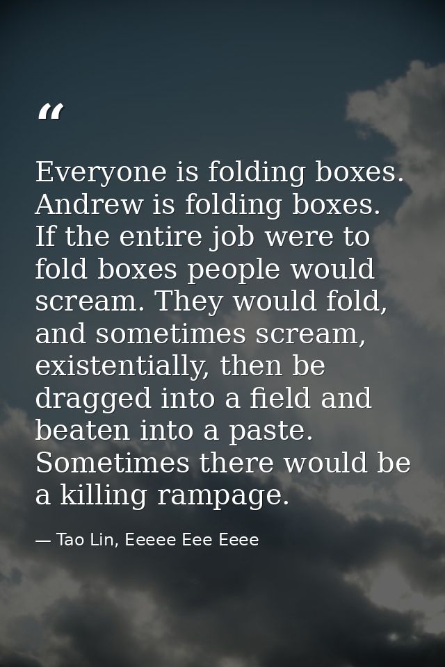 Everyone is folding boxes. Andrew is folding boxes. If the entire job were to fold boxes people would scream. They would — Tao Lin, Eeeee Eee Eeee