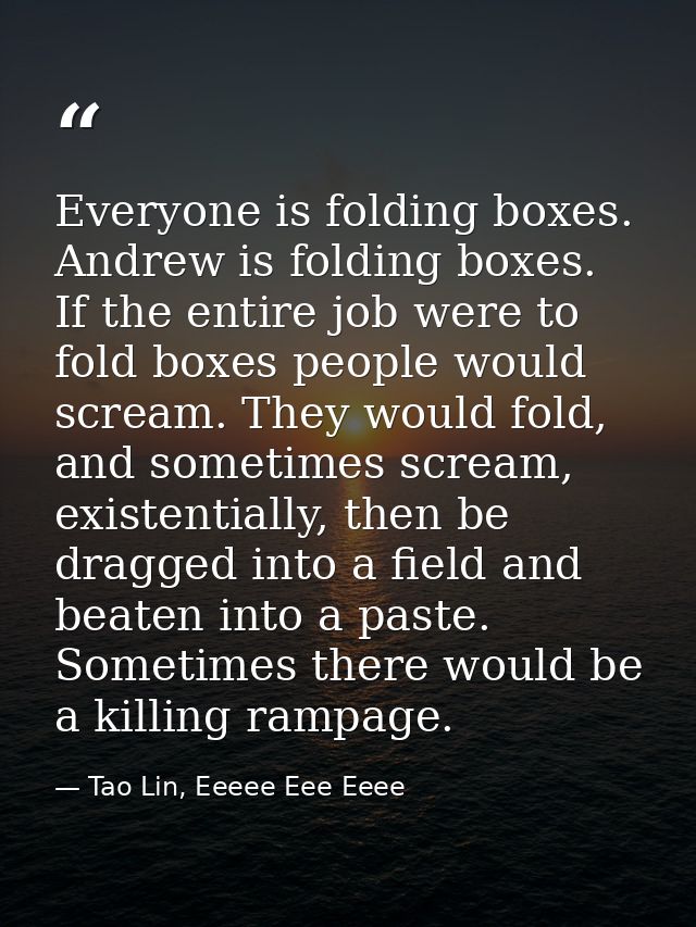 Everyone is folding boxes. Andrew is folding boxes. If the entire job were to fold boxes people would scream. They would — Tao Lin, Eeeee Eee Eeee