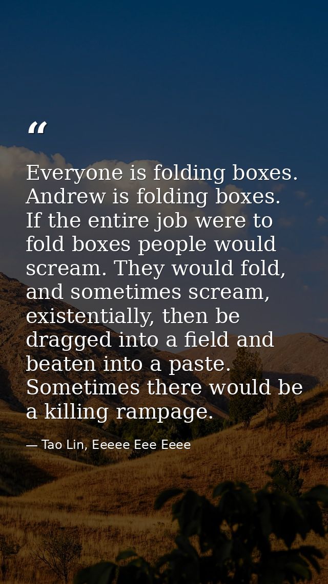 Everyone is folding boxes. Andrew is folding boxes. If the entire job were to fold boxes people would scream. They would — Tao Lin, Eeeee Eee Eeee