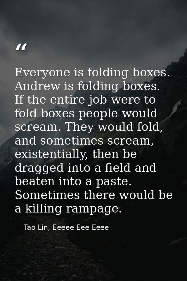 Everyone is folding boxes. Andrew is folding boxes. If the entire job were to fold boxes people would scream. They would — Tao Lin, Eeeee Eee Eeee