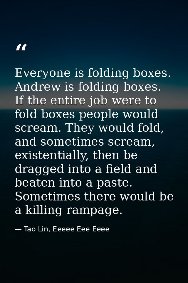 Everyone is folding boxes. Andrew is folding boxes. If the entire job were to fold boxes people would scream. They would — Tao Lin, Eeeee Eee Eeee
