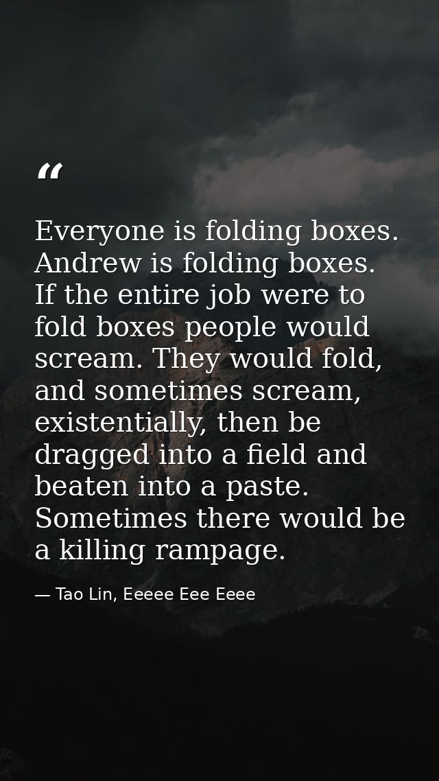 Everyone is folding boxes. Andrew is folding boxes. If the entire job were to fold boxes people would scream. They would — Tao Lin, Eeeee Eee Eeee