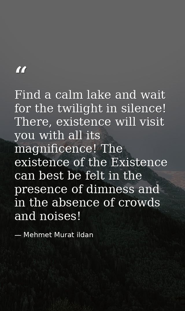 Find a calm lake and wait for the twilight in silence! There, existence will visit you with all its magnificence! The ex — Mehmet Murat ildan