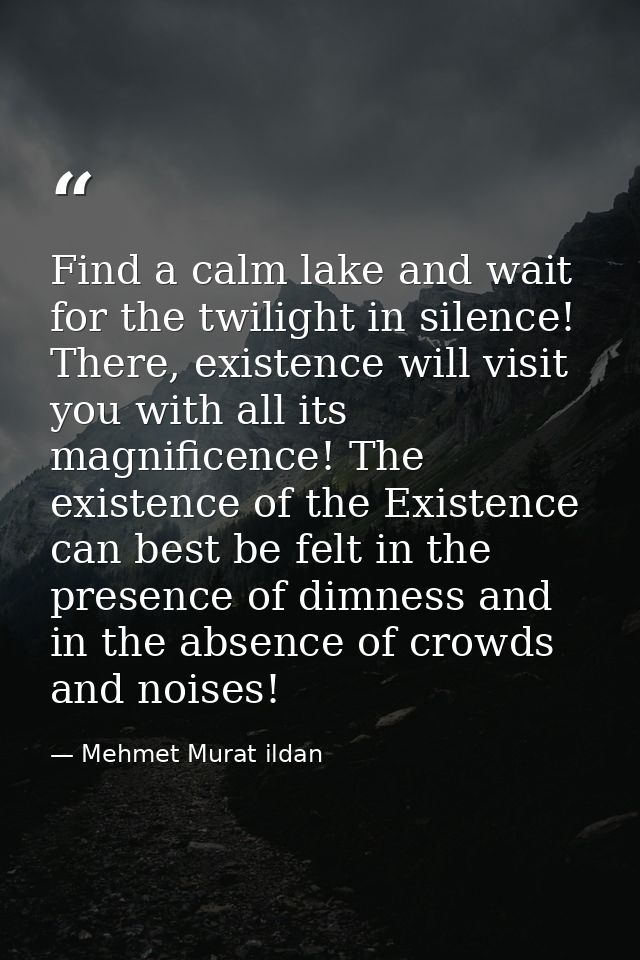 Find a calm lake and wait for the twilight in silence! There, existence will visit you with all its magnificence! The ex — Mehmet Murat ildan