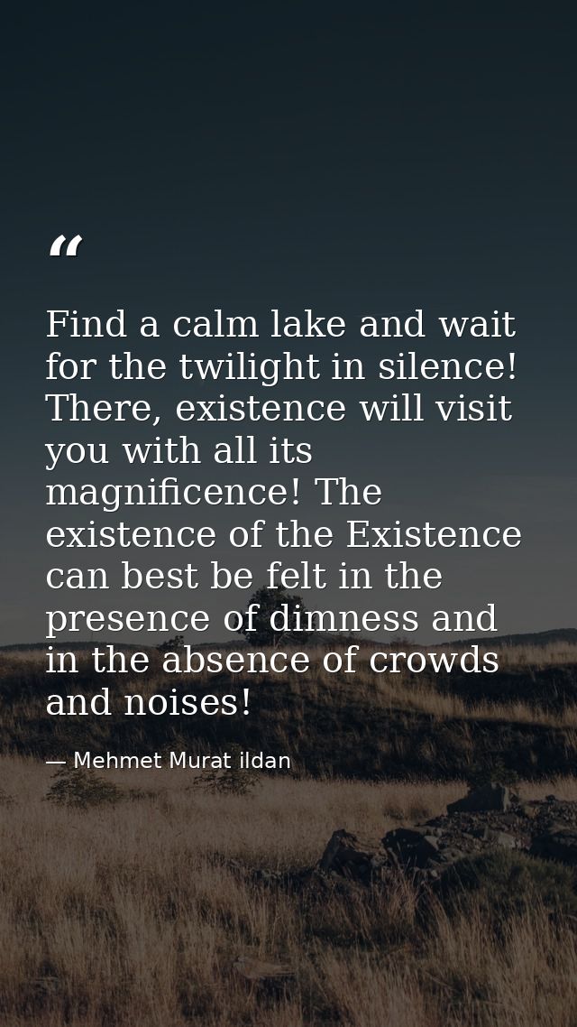 Find a calm lake and wait for the twilight in silence! There, existence will visit you with all its magnificence! The ex — Mehmet Murat ildan