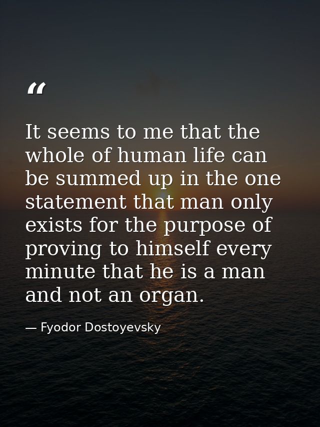It seems to me that the whole of human life can be summed up in the one statement that man only exists for the purpose o — Fyodor Dostoyevsky