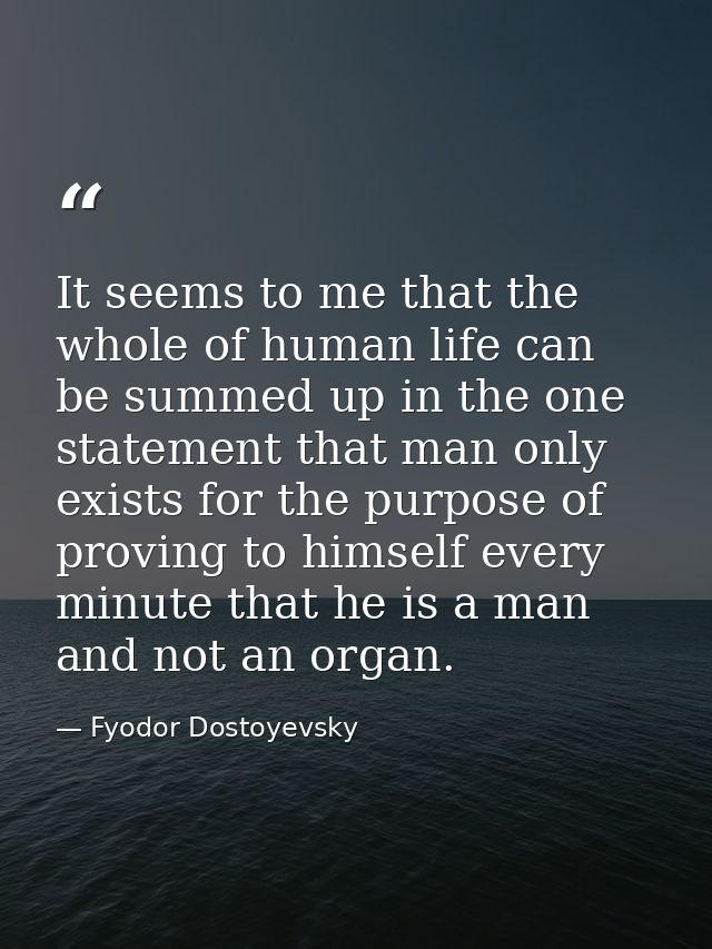 It seems to me that the whole of human life can be summed up in the one statement that man only exists for the purpose o — Fyodor Dostoyevsky