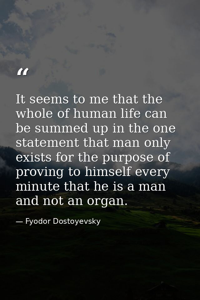 It seems to me that the whole of human life can be summed up in the one statement that man only exists for the purpose o — Fyodor Dostoyevsky