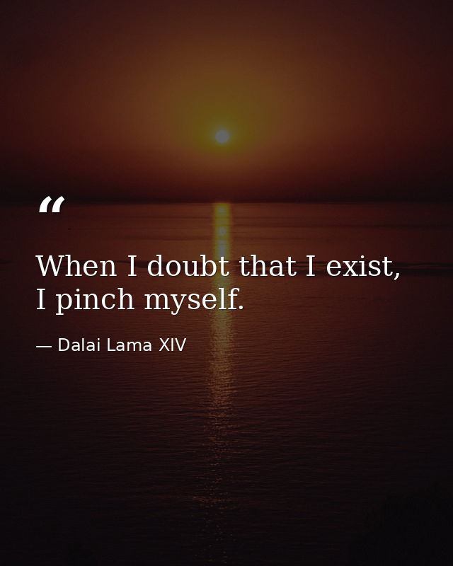 When I doubt that I exist, I pinch myself. — Dalai Lama XIV
