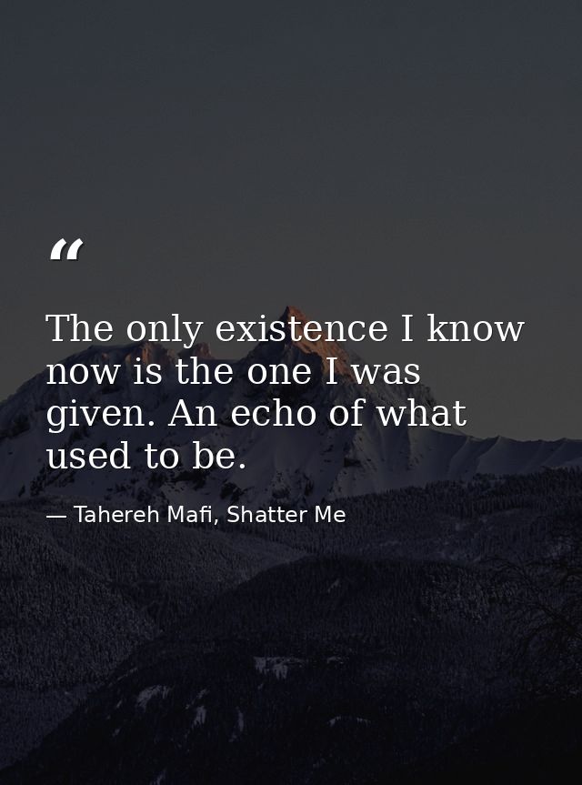 The only existence I know now is the one I was given. An echo of what used to be. — Tahereh Mafi, Shatter Me