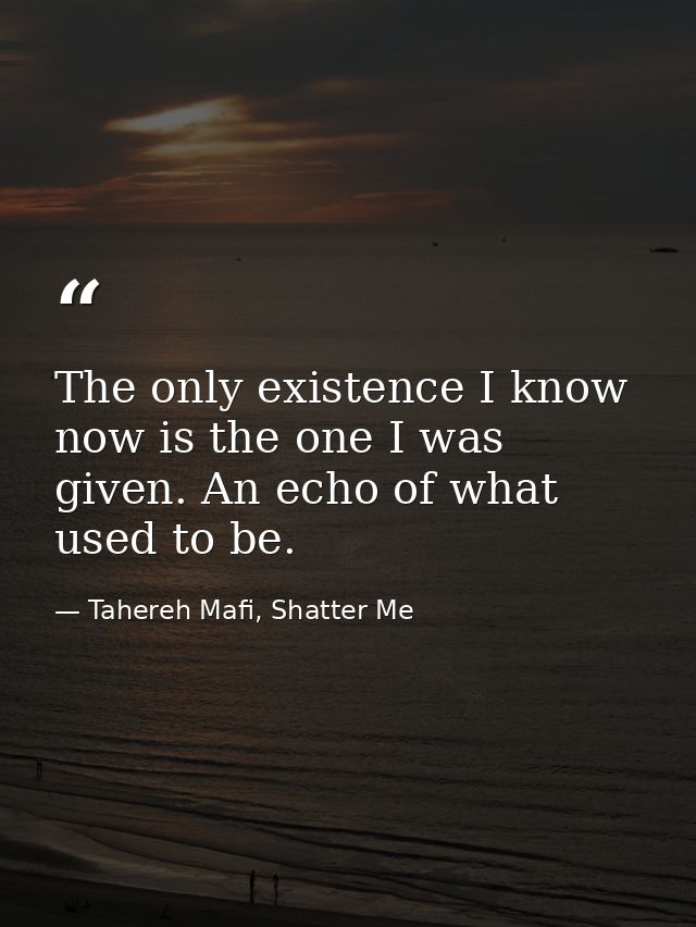 The only existence I know now is the one I was given. An echo of what used to be. — Tahereh Mafi, Shatter Me