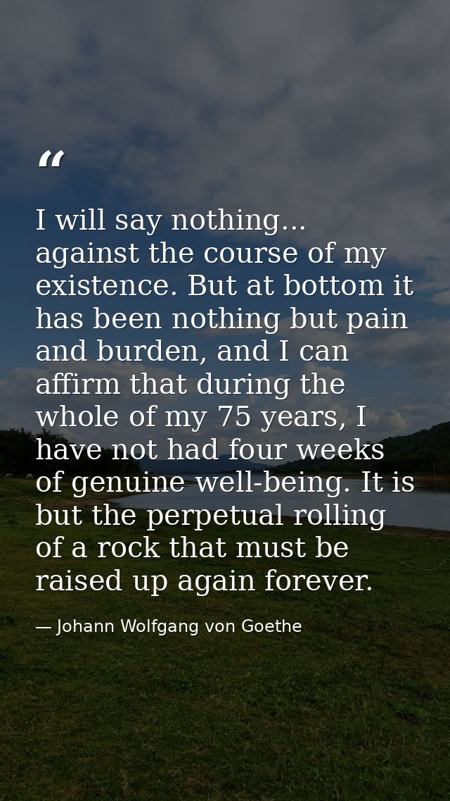 I will say nothing... against the course of my existence. But at bottom it has been nothing but pain and burden, and I c — Johann Wolfgang von Goethe