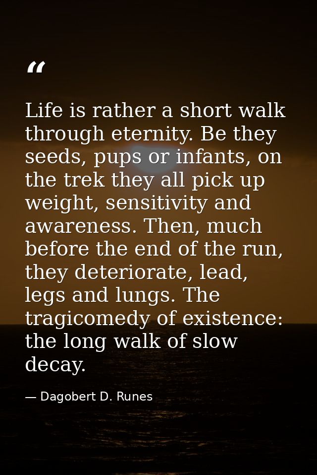 Life is rather a short walk through eternity. Be they seeds, pups or infants, on the trek they all pick up weight, sensi — Dagobert D. Runes
