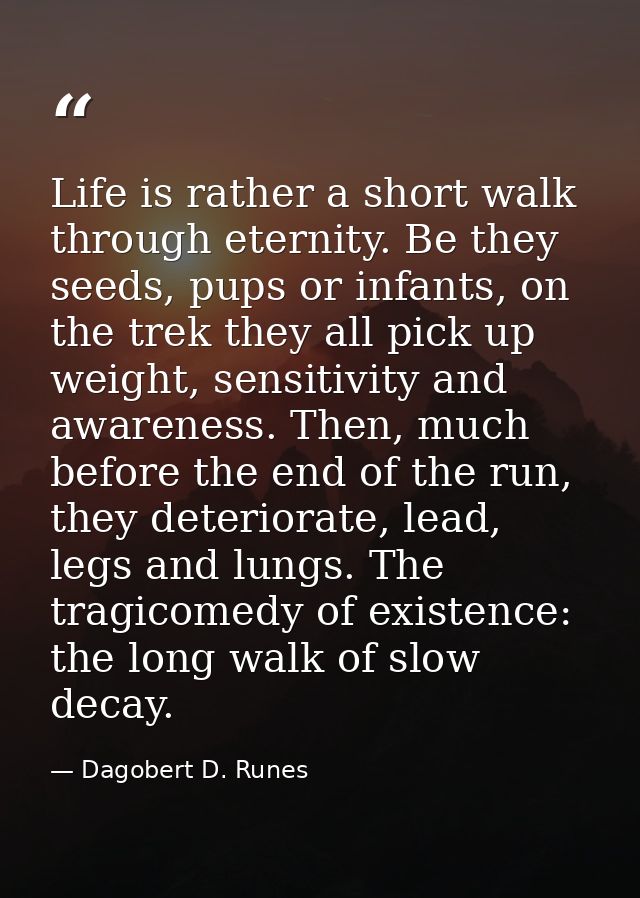 Life is rather a short walk through eternity. Be they seeds, pups or infants, on the trek they all pick up weight, sensi — Dagobert D. Runes