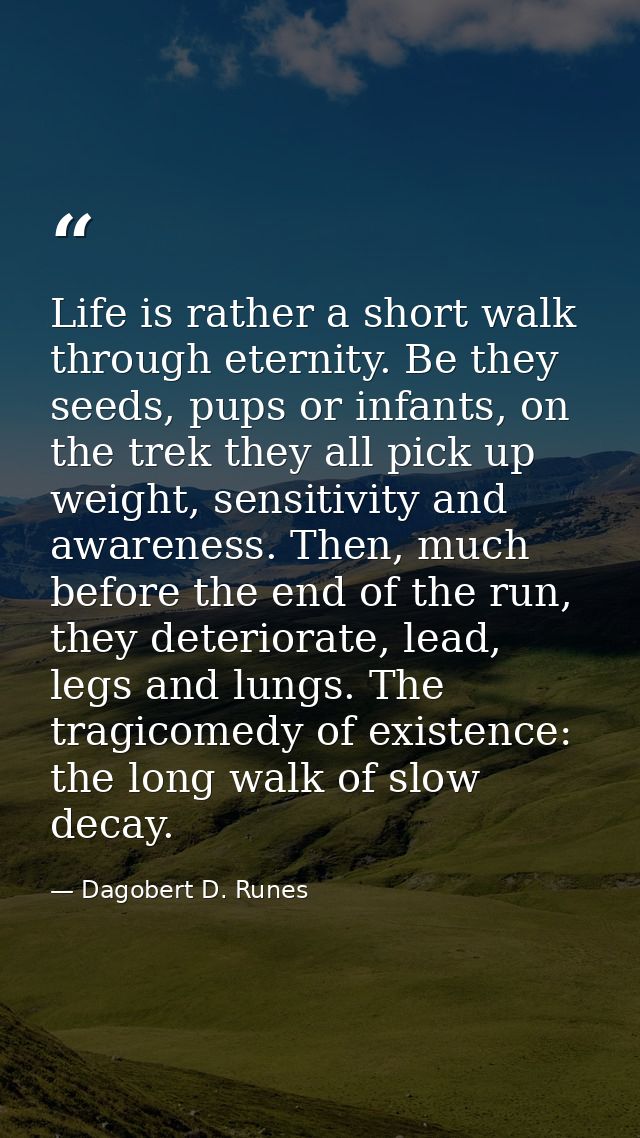 Life is rather a short walk through eternity. Be they seeds, pups or infants, on the trek they all pick up weight, sensi — Dagobert D. Runes