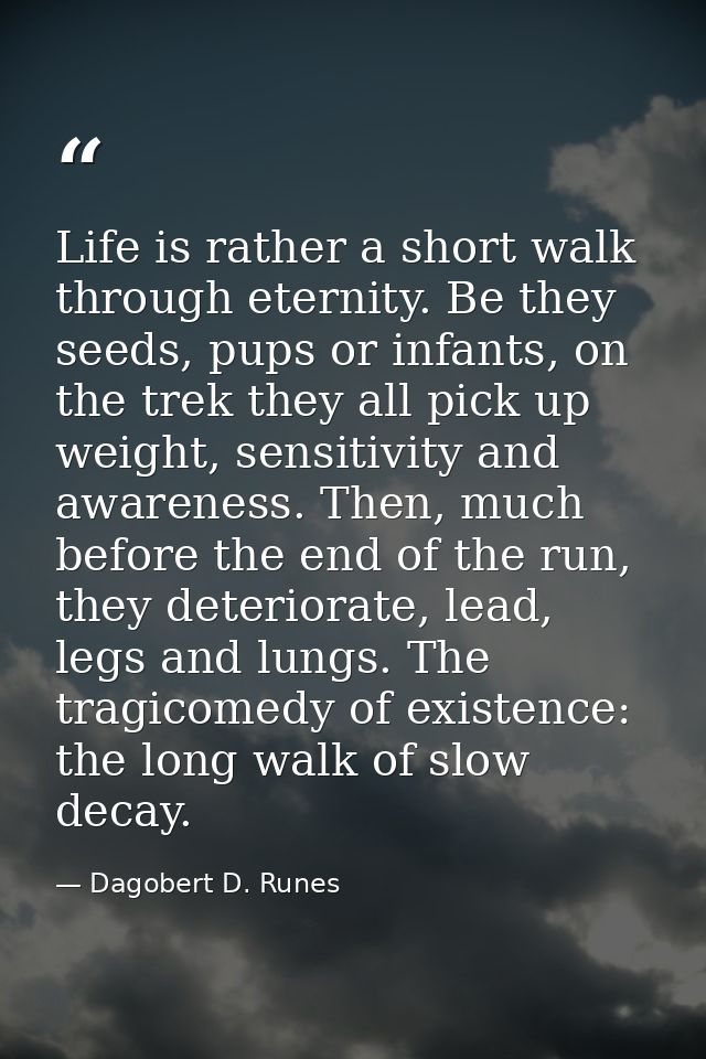 Life is rather a short walk through eternity. Be they seeds, pups or infants, on the trek they all pick up weight, sensi — Dagobert D. Runes