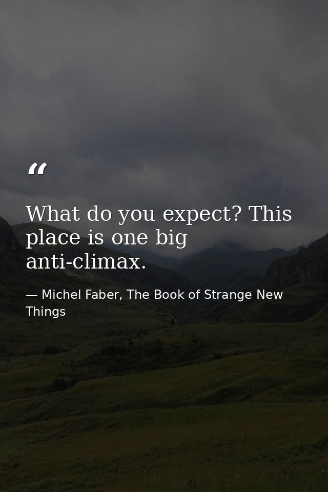 What do you expect? This place is one big anti-climax. — Michel Faber, The Book of Strange New Things