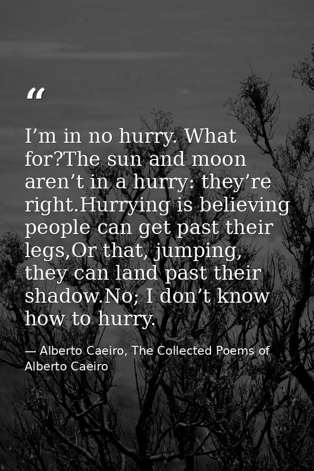 I’m in no hurry. What for?The sun and moon aren’t in a hurry: they’re right.Hurrying is believing people can get past th — Alberto Caeiro, The Collected Poems of Alberto Caeiro