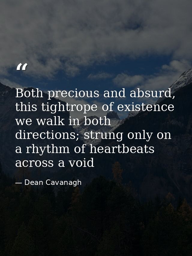 Both precious and absurd, this tightrope of existence we walk in both directions; strung only on a rhythm of heartbeats  — Dean Cavanagh